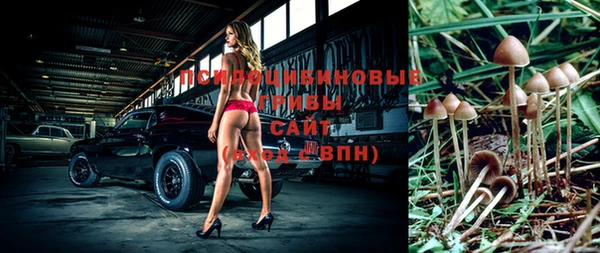 марки lsd Абаза