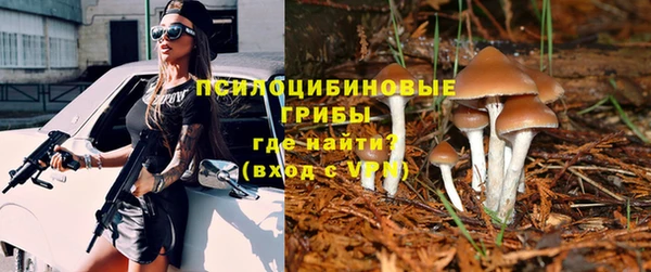не бодяженный Абдулино