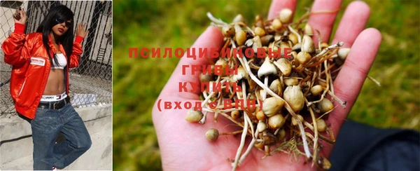 не бодяженный Абдулино