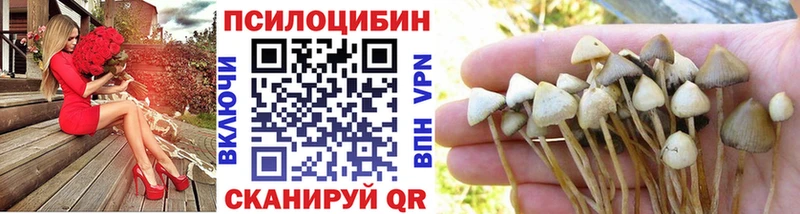 Галлюциногенные грибы Magic Shrooms  хочу наркоту  площадка официальный сайт  Козловка 